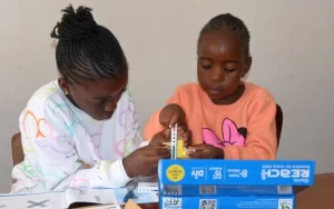 Robotics Education Zimbabwe