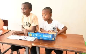 Robotics Education Zimbabwe