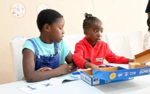 Robotics Education Zimbabwe