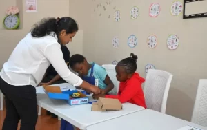Robotics Education Zimbabwe