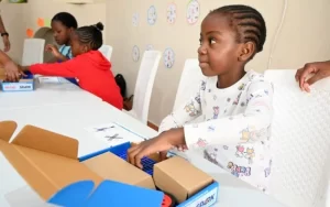 Robotics Education Zimbabwe