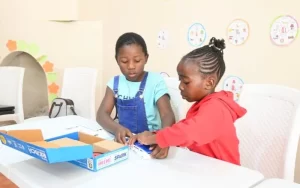 Robotics Education Zimbabwe